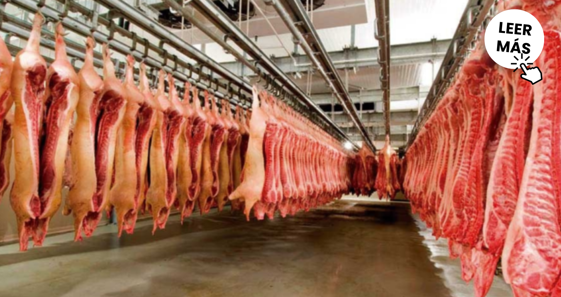 Por-cuarto-ano-consecutivo-se-desarrolla-el-programa-Despertar-Vocacion-TIC-2026-02-07T102413.369