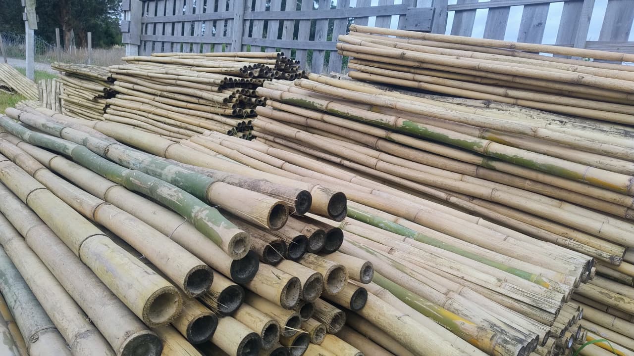 64a84b5c-2233-492b-a7c6-ce8ece383609