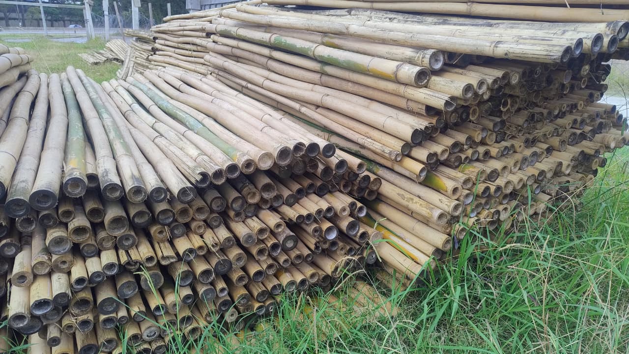 e4e7b256-11d8-45f1-aece-604f62cd1ad9